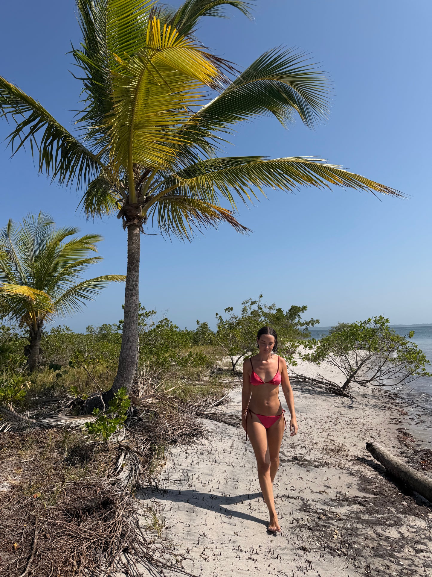 Greco Bottom ~ Red Velvet